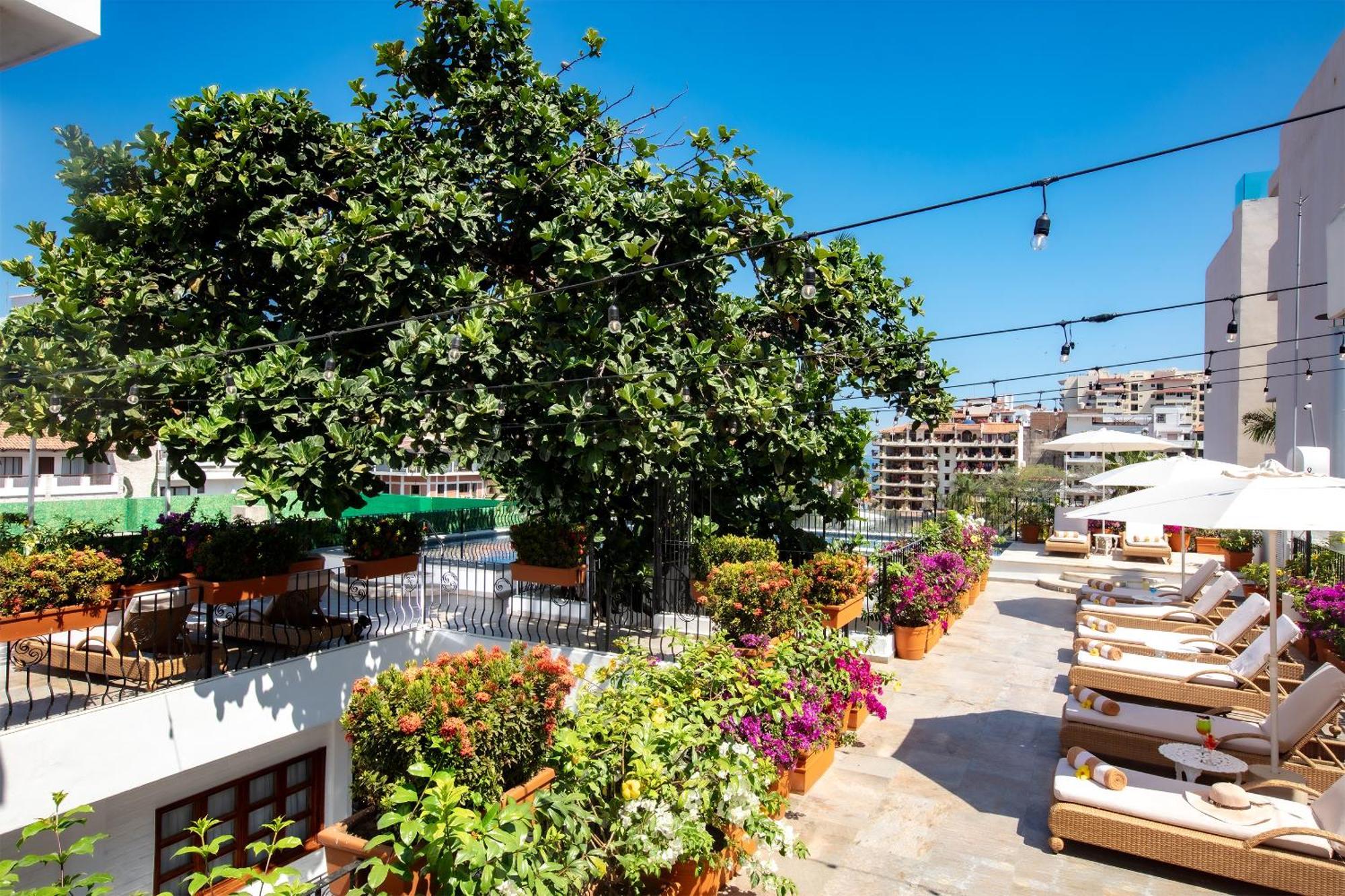 Casa Dona Susana (Adults Only) Puerto Vallarta Extérieur photo